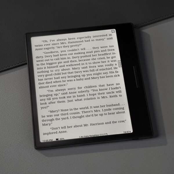 Boox Go Color 7 Epaper Tablet 7&Quot; Color 64Gb Android 12 E-Ink Light Bt Wifi (Black)