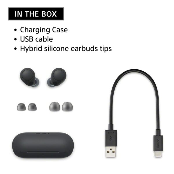 Sony Wf-C700N Wireless, Bluetooth, Noise Cancelling Earbuds, White (Small, Lightweight Earbuds With Multi-Point Connection, Ipx4 Rating, Up To 20 Hr)